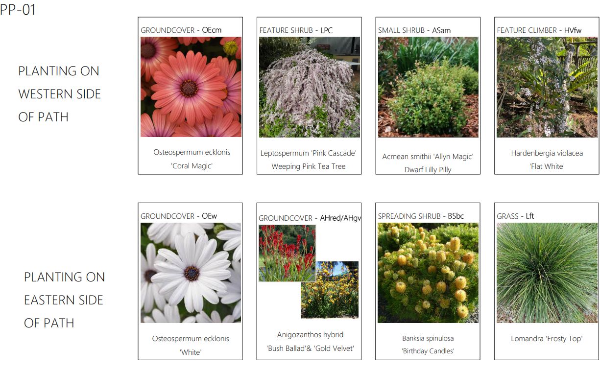 Garden Bed Small and Medium Plant Choices